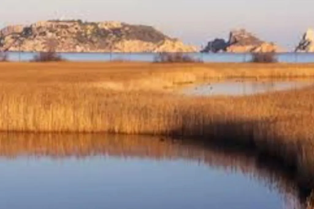 Cozy, Sunny And Close To The Beach L'Estartit Spain